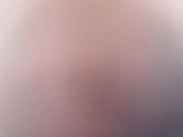 ludogo image 3